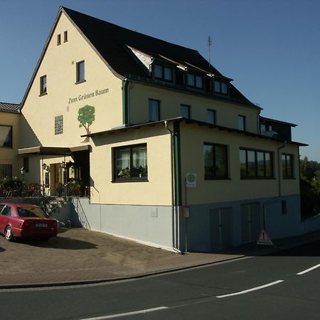 Restaurant Gruener Baum Hotel Leidersbach Exterior photo